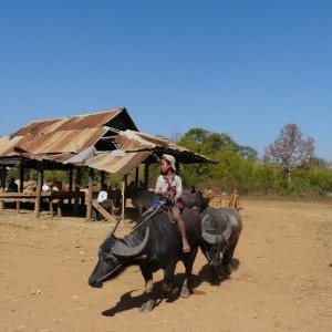 Croisière Privée sur l’Irrawaddy 16