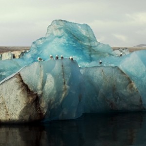 Expériences arctiques Laponie et archipel des îles du Svalbard 21