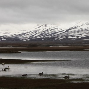 Expériences arctiques Laponie et archipel des îles du Svalbard 22