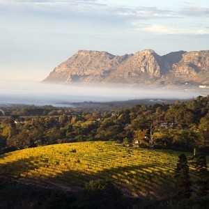 2- Vignobles Afrique du Sud – © 2013 South African Tourism (1)