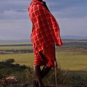 Masai Mara KENYA (4)