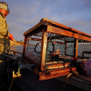 Pêcheur de homard et casier à Percé © Le Québec maritime-Marc Loiselle