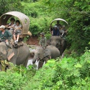 Safaris elephant (1)