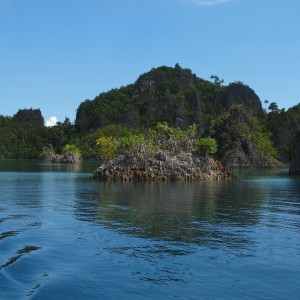 croisière îles de la sonde et Papouasie INDONESIE (13)