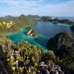 croisière îles de la sonde et Papouasie INDONESIE (33)