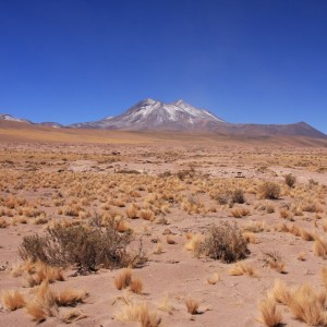 Desert d’Atacama 5©Explora