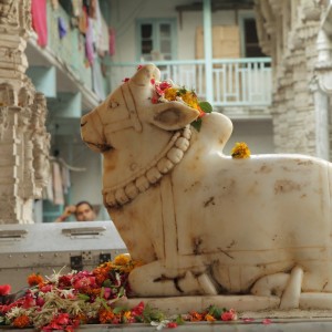 MUMBAI Sculpture of Nandi © Malgorzata Kistryn